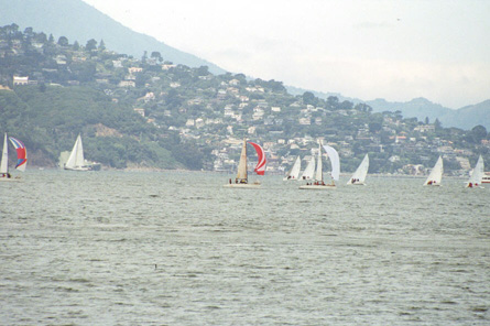 Sailboats on San Francisco Bay