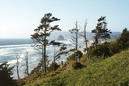 Cannon Beach