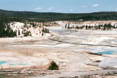 Porcelain Basin