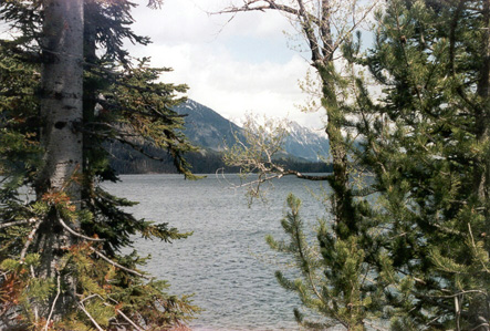 Teton Mountains and Jenny Lake