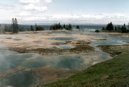 West Thumb Geyser Basin