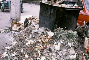 Garbage can
