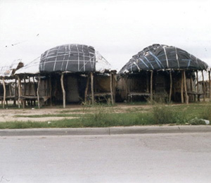 Native Village 1